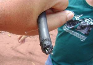 7790必发集团(中国)有限公司-BinG百科