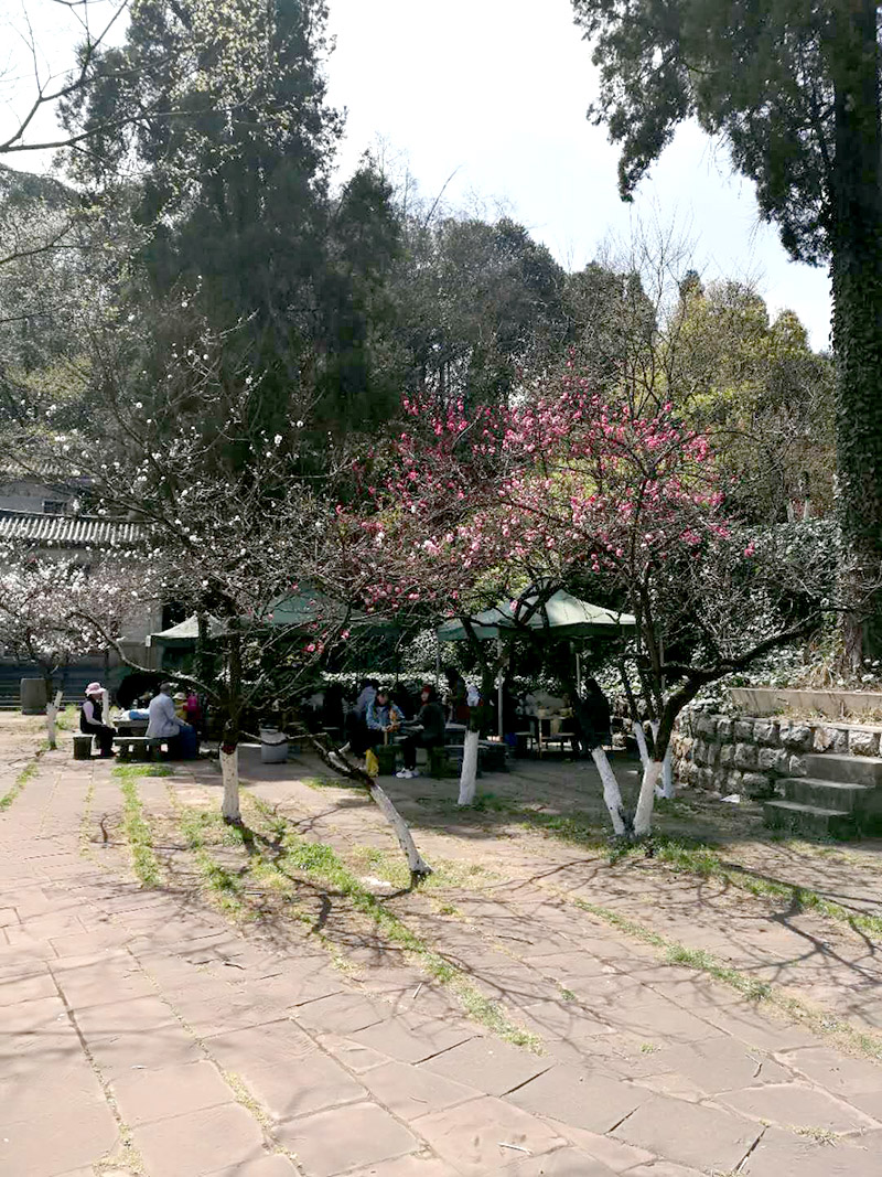 7790必发集团(中国)有限公司-BinG百科